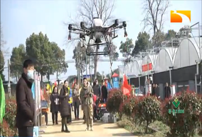 飞机上阵 助力武汉129万亩水稻春播下田