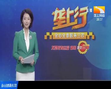 “薯尖大王”带领乡邻种菜致富