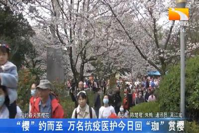 樱”约而至 万名抗疫医护今日回“珈”赏樱