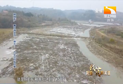 郝旭东：善引源头活“泉水” 产业兴旺乡村美