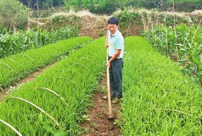 3月湖北维持高温少雨 需防范冬春连旱等自然灾害