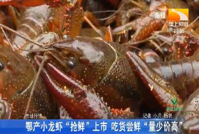 鄂产小龙虾“抢鲜”上市 吃货尝鲜“量少价高”