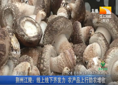 荆州江陵: 线上线下齐发力 农产品上行助农增收