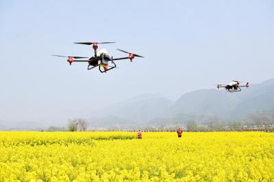 保康县农技人员使用无人机喷洒农药