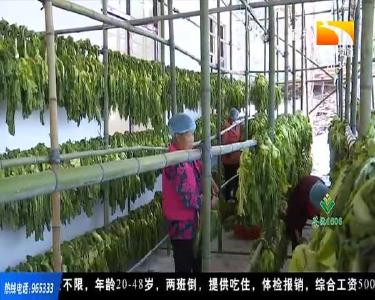 小咸菜大“钱”景 特色产业夯实小康路