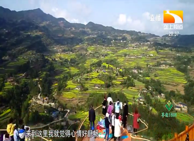 巴东：打造赏花经济 省内外游客纷至沓来