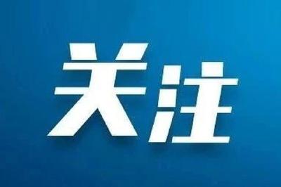 京山张本斌玩石头年收入40万元