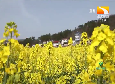 宜昌：赏花住石屋民宿 打造农旅融合新思路