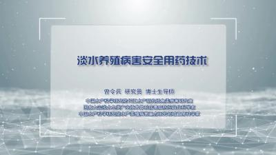 淡水养殖病害安全用药技术.mp4