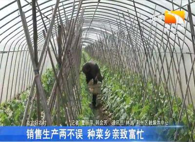 销售生产两不误 种菜乡亲致富忙