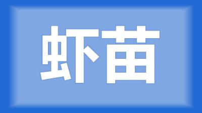 荆州市公安县朱师傅：怎样观察池塘里的虾够不够苗？