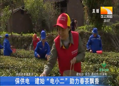 保供电 建始 “电小二” 助力春茶飘香