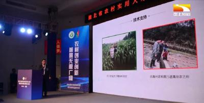 湖北省农村实用人才创业创新项目大赛决赛在来凤举办