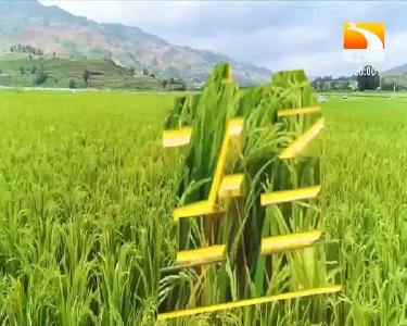 垄上行 2021-04-01