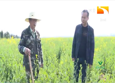 不负好春光 孝感应城多措井举闹春耕