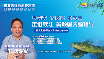 图文直播 | 服务春季渔业生产 黄颡鱼养殖塘边指导