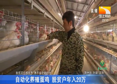 自动化养殖蛋鸡 脱贫户年入20万