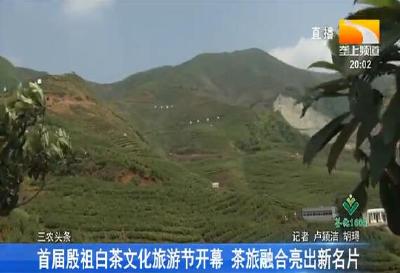 首届殷祖白茶文化旅游节开幕 茶旅融合亮出新名片