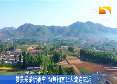 赏景采茶玩赛车 动静相宜让人流连忘返