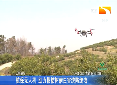 植保无人机 助力柑桔树病虫害统防统治