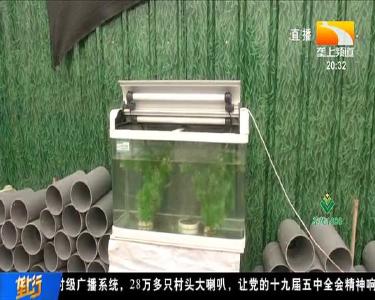 武汉农科院研发“稻虾憨”种养新模式 沙塘鳢岸上安“新家”