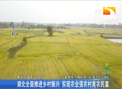 湖北全面推进乡村振兴 实现农业强农村美农民富