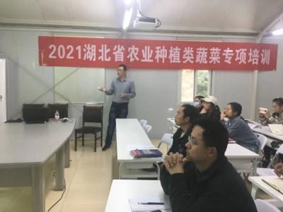 2021年湖北省农业种植类蔬菜专项培训