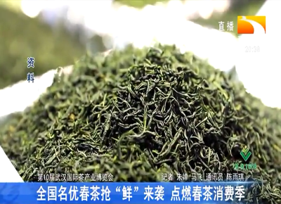 全国名优春茶抢“鲜”来袭 点燃春茶消费季