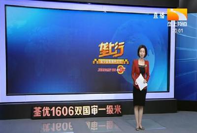 垄上行 2021-04-17