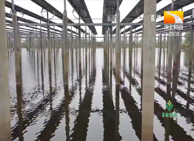 水下养鱼水上发电，乡村唱响绿色发展“渔光曲”