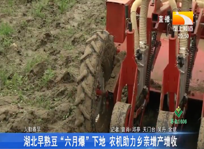 湖北早熟豆“六月爆”下地 农机助力乡亲增产增收