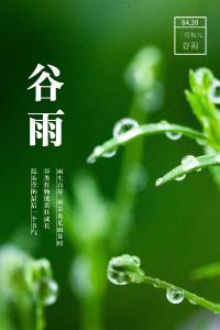 谷雨时节雨水驾到 降水之后气温将强势反弹