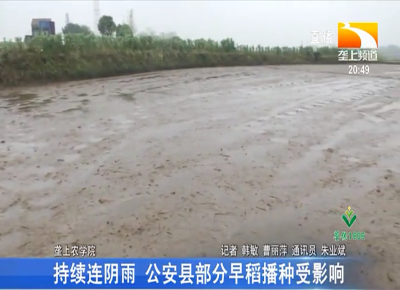 持续连阴雨 公安县部分早稻播种受影响