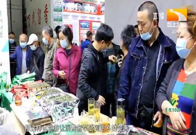 茶香荆楚 湖北春茶一季度销量上升20%