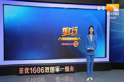 垄上行 2021-04-10