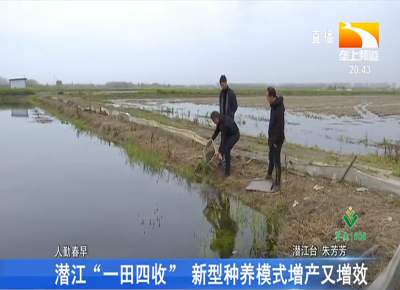 潜江“一田四收” 新型种养模式增产又增效