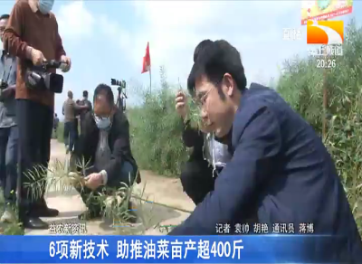 “515” 科技服务行动 助力湖北油菜产业发展