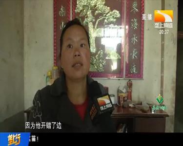 农村大姐遇车祸致残 垄上牵线助其养蜂创业