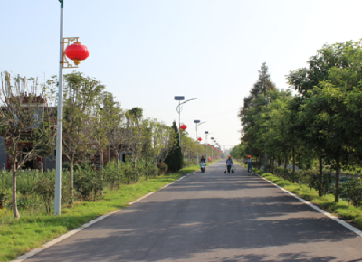 满意率大幅提升 洪湖农村公路通车里程达3187.5公里