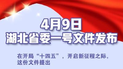 干货来了！湖北省委一号文件看这里
