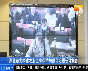 湖北着力构建农业生态保护与绿色发展长效机制