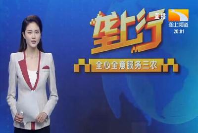 垄上行 2021-05-04