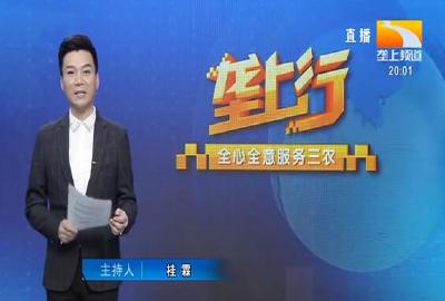 垄上行 2021-05-25