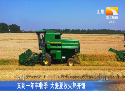 又到一年丰收季 大麦夏收火热开镰