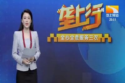 垄上行 2021-05-17