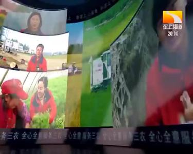 垄上行 2021-04-30