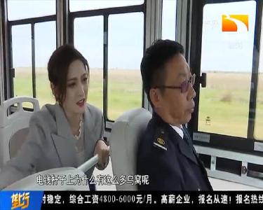 观鸟看河海交汇 黄河口生态旅游区景象“不一般”