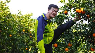 大山无臂青年荣获五四奖章，今年直播带货卖了10万斤橙子