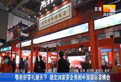 鄂有好茶礼谢天下 湖北36家茶企亮相中国国际茶博会