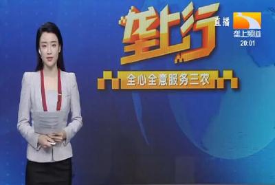 垄上行 2021-05-12